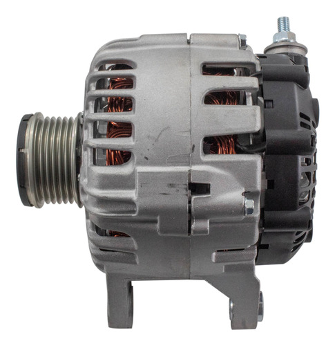 ALT-V11648