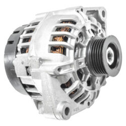 ALT-V21195