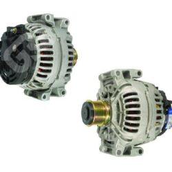 ALT-B12384 ALT-B12384